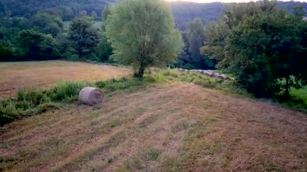 Aerial dron shot view of traditional italian rural in sunrise in Toscana, Itália — Vídeo de Stock