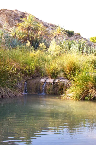 Пейзаж Рекой Которая Впадает Небольшое Водохранилище — стоковое фото