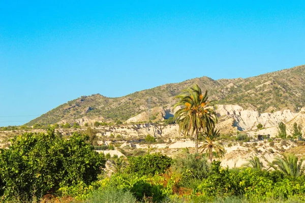 Schöne Tropische Landschaft Mit Fluss Und Palmen — Stockfoto