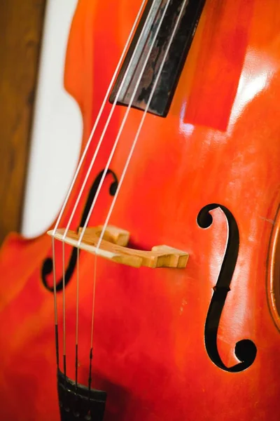 Detail of contra bass - F holes - violin corners - C bount - bridge - strings.
