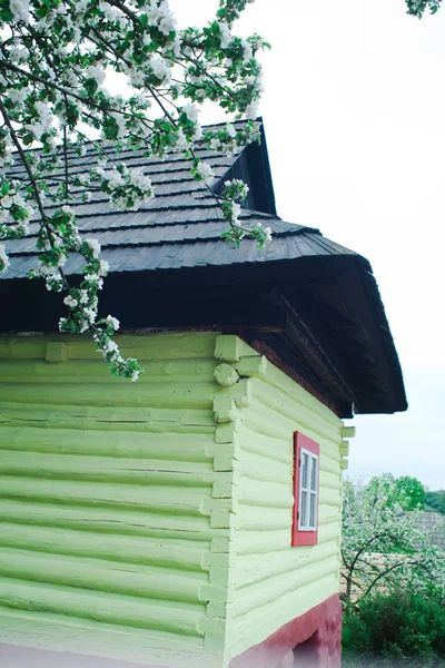 Arquitectura tradicional de Europa central - Vlkolinec . — Foto de Stock