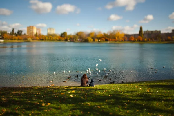 Göl kenarında oturan ve besleme birds - tilt shift objektif çocuk ile anne.