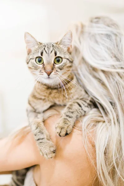 Kvinna leker med hem katt - härliga husdjur — Stockfoto