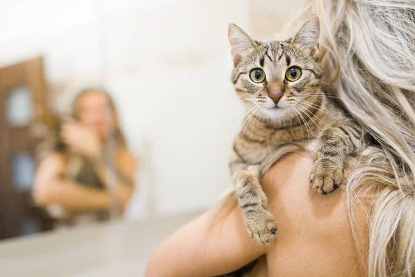 Femme jouant avec le chat tout en regardant dans le miroir - adorable animal de compagnie — Photo