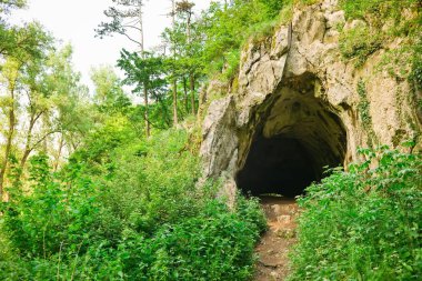 Forrest doğal mağaragirişi