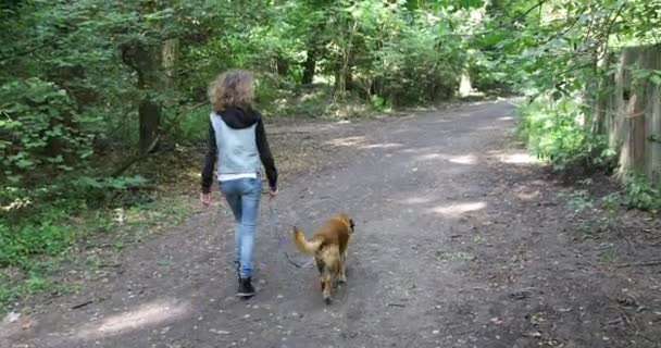 Ragazza Jeans Che Cammina Con Cane Guinzaglio Una Strada Forestale — Video Stock