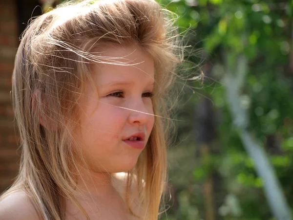 Portrait Une Petite Fille Aux Cheveux Blonds Décoiffés Par Vent — Photo