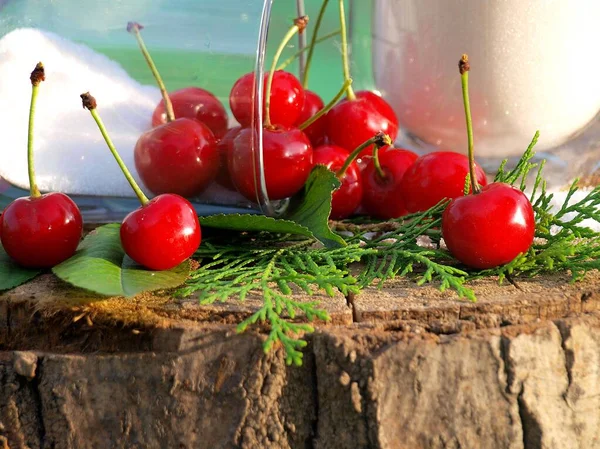 Trzynaście Dojrzałych Jasnoczerwonych Wiśni Rozrzuconych Brązowym Kikucie Wśród Zielonej Jodły — Zdjęcie stockowe