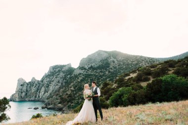 Çarpıcı gelin ve damat kucaklamak birbirlerine ihale ayakta altın tepe üzerinde