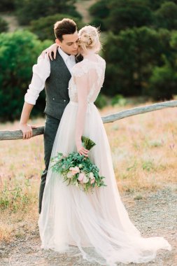 Çarpıcı gelin ve damat kucaklamak birbirlerine ihale ayakta altın tepe üzerinde