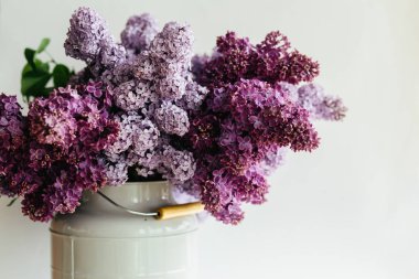 Beyaz bir arka planda şık bir vazo içinde Lila çiçekler awesome mor buket