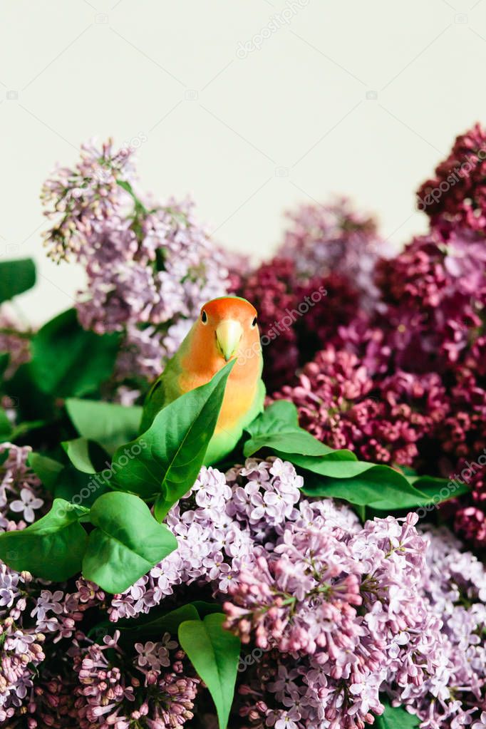 Cute parrot lovebirds sitting on a bouquet of lilac