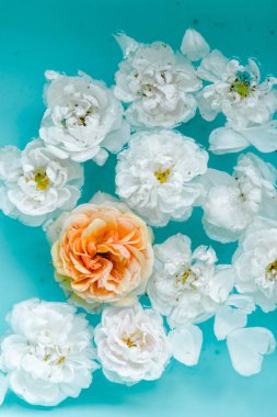 Mavi arka planda suda gül hassasiyet çiçek doku