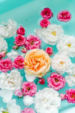 Mavi arka planda suda renkli güllerin hassasiyet çiçek dokusu