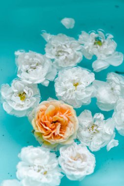 Mavi arka planda suda gül hassasiyet çiçek doku