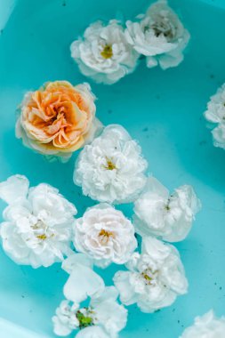 Mavi arka planda suda gül hassasiyet çiçek doku