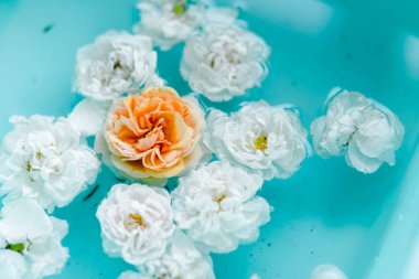 Mavi arka planda suda gül hassasiyet çiçek doku