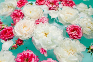 Mavi arka planda suda renkli güllerin hassasiyet çiçek dokusu