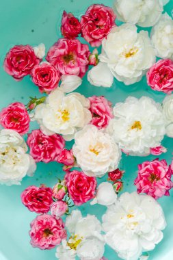 Mavi arka planda suda renkli güllerin hassasiyet çiçek dokusu