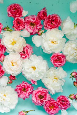 Mavi arka planda suda renkli güllerin hassasiyet çiçek dokusu