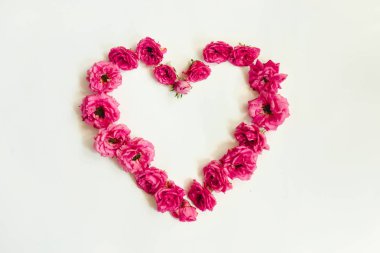 beyaz arka plan üzerinde pembe gül doğal kalp