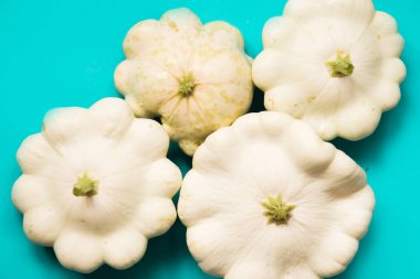 mavi bir arka plan üzerinde taze beyaz Pattison