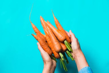 birkaç taze havuç mavi bir arka plan üzerinde üst üste yalan.