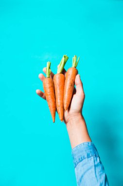 birkaç taze havuç mavi bir arka plan üzerinde üst üste yalan.