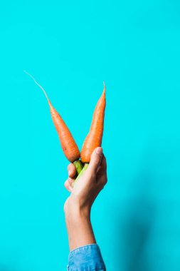 birkaç taze havuç mavi bir arka plan üzerinde üst üste yalan.