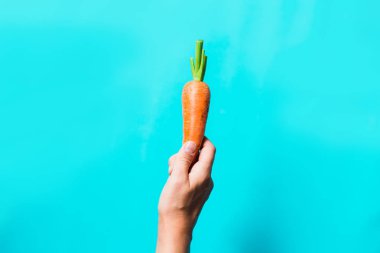 birkaç taze havuç mavi bir arka plan üzerinde üst üste yalan.