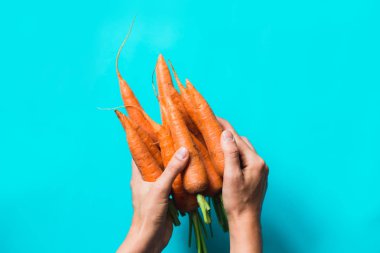 birkaç taze havuç mavi bir arka plan üzerinde üst üste yalan.