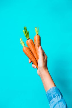 birkaç taze havuç mavi bir arka plan üzerinde üst üste yalan.