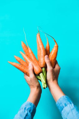 birkaç taze havuç mavi bir arka plan üzerinde üst üste yalan.