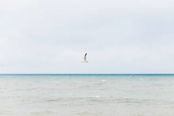 Deniz kıyısında fırtına , dalga taşları yıkıyor — Stok fotoğraf