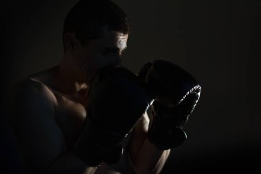 boksör ışık karşı