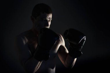 boksör ışık karşı