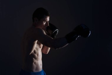 boksör ışık karşı