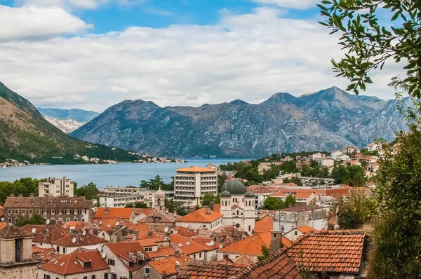 Staden Kotor Montenegro — Stockfoto