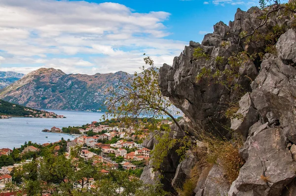 Ciudad Kotor Montenegro —  Fotos de Stock