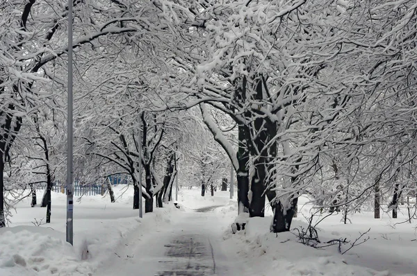 Schneereicher Winter Moskauer Park — Stockfoto