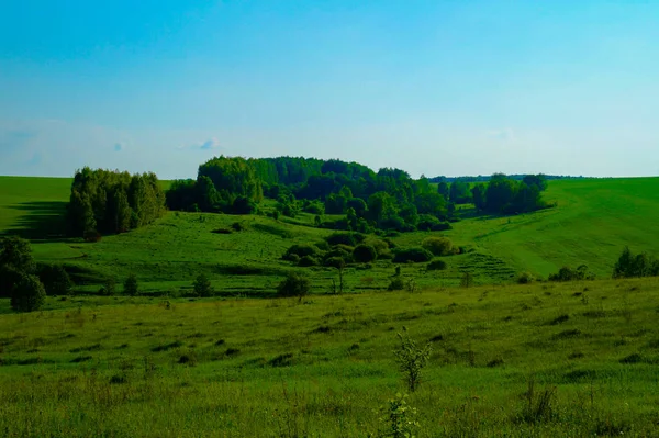 Grünes Feld Unter Blauem Himmel — Stockfoto