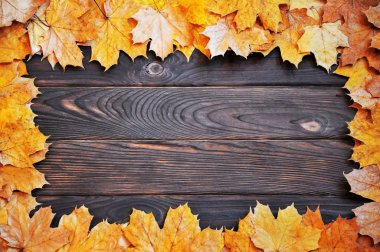 çerçeve sonbaharın bir ahşap yüzeye bırakır. sonbahar arka plan