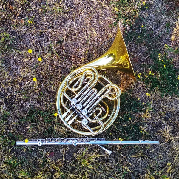 Two horn musical instruments, flute on the grass.