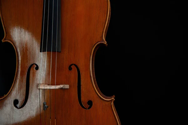 黑色背景上漂亮大提琴或小提琴的碎片 — 图库照片
