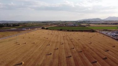 saman ve saman tarlaları