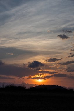 Kuru bitkilerin arasında yaz günbatımı