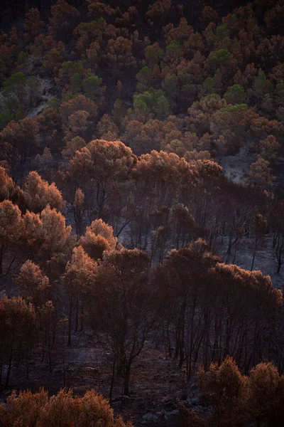 火事の後に雲のある山の日の出の風景 — ストック写真