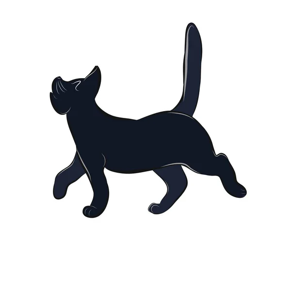 vektör çizim çözmemize halinize bakmadan yolcu yanında rahatsız bir kedi gösteriyor