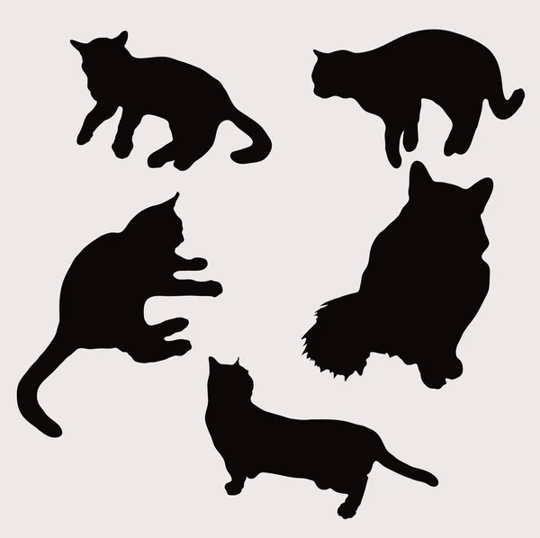 Ilustracja Wektorowa Przedstawia Sylwetki Kotów Differentposes Siedząc Stojąc Leżąc — Wektor stockowy