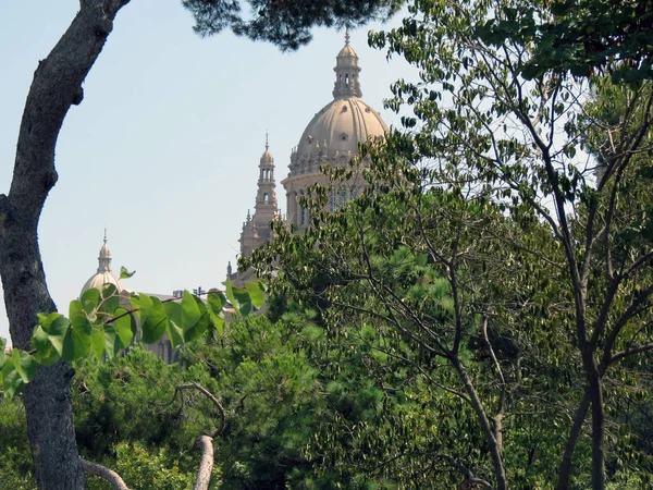 Ulusal Sanat Müzesi, Barcelona, Katalonya, İspanya kubbe için parktan görüntülemek.